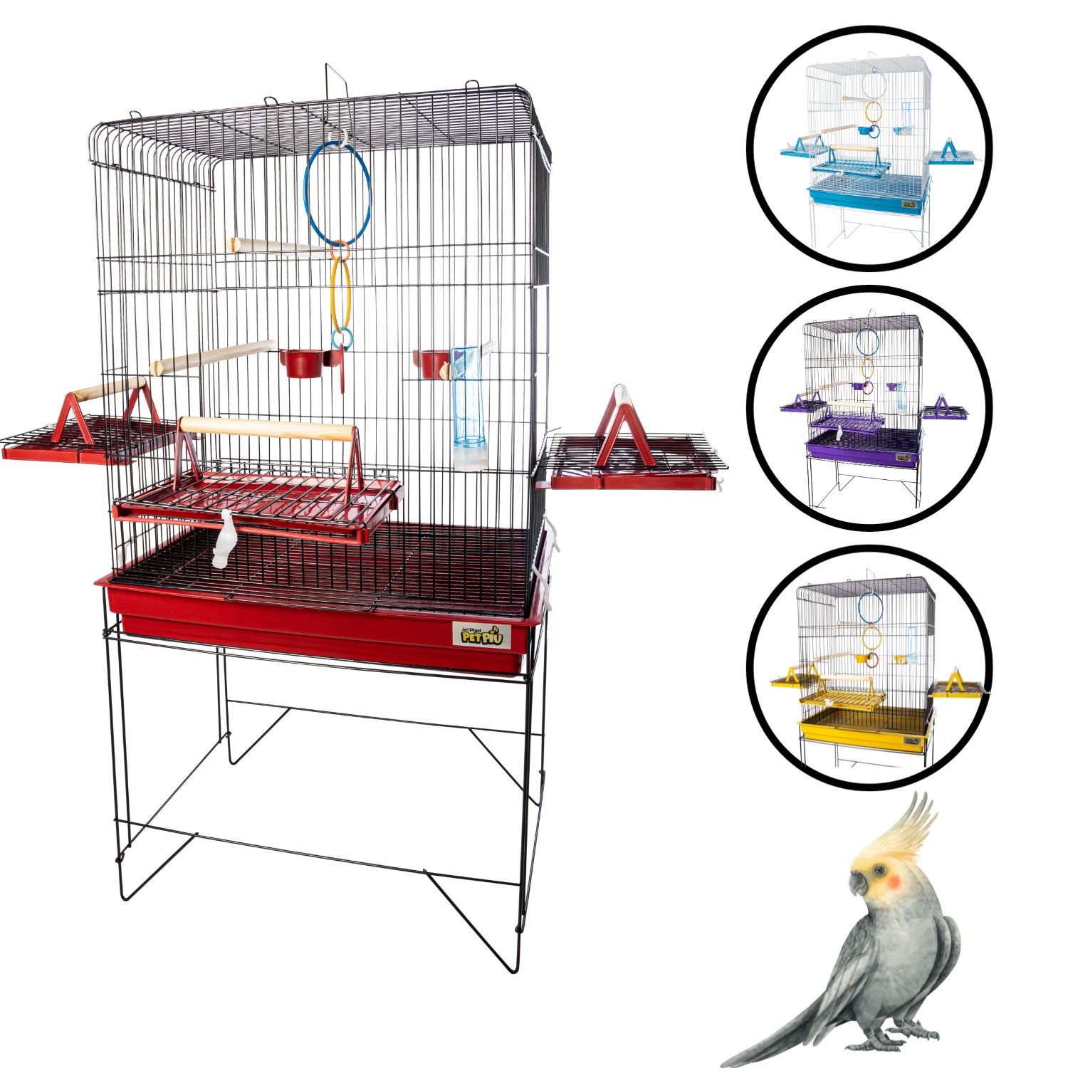 Como acostumar sua calopsita com o novo viveiro