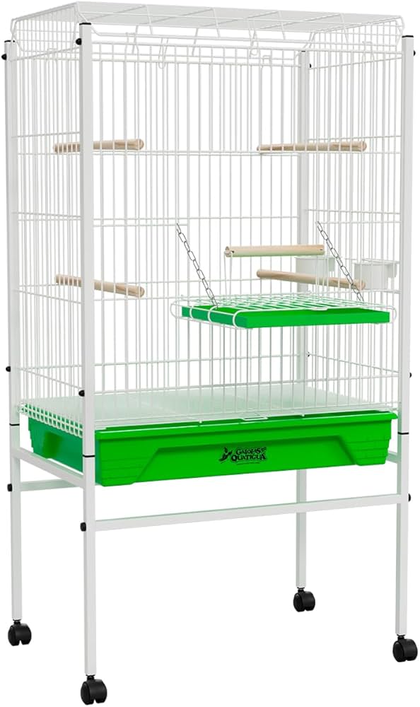 Os perigos de gaiolas inadequadas para calopsitas