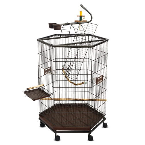 Guia completo de alimentação para calopsitas