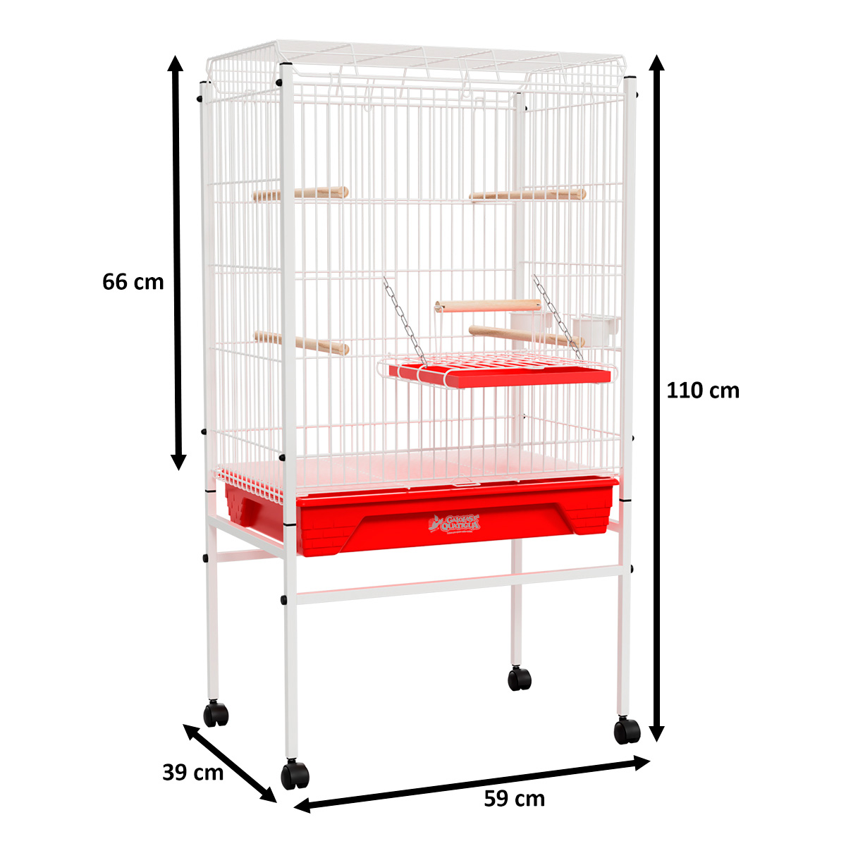 Como acostumar sua calopsita com o novo viveiro