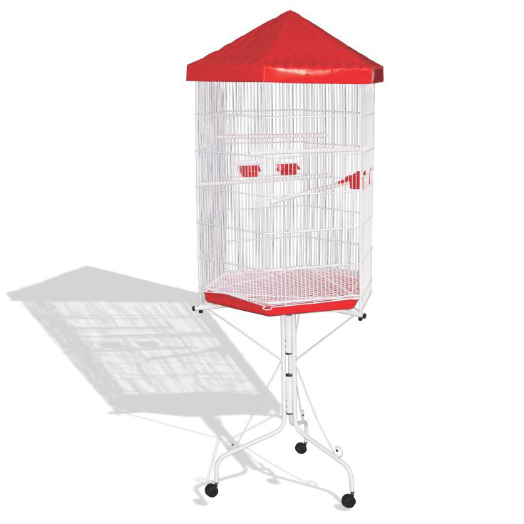 Os perigos de gaiolas inadequadas para calopsitas